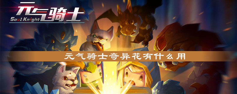 元气骑士奇异花作用讲解