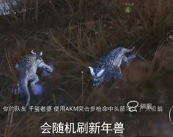 和平精英冰雪年兽作用及使用方法一览