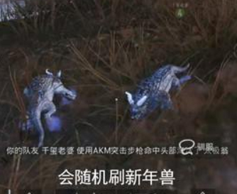 和平精英冰雪年兽快速捕捉方法