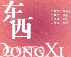 抖音欢迎光临歌曲完整介绍