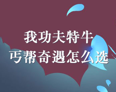 我功夫特牛丐帮奇遇最佳选择推荐