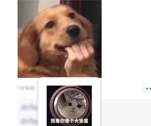 微信朋友圈评论表情包教程