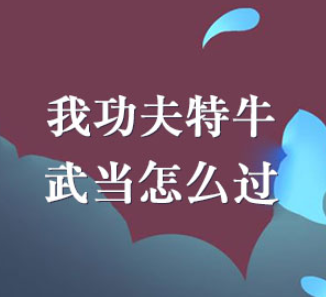 我功夫特牛武当通关技巧