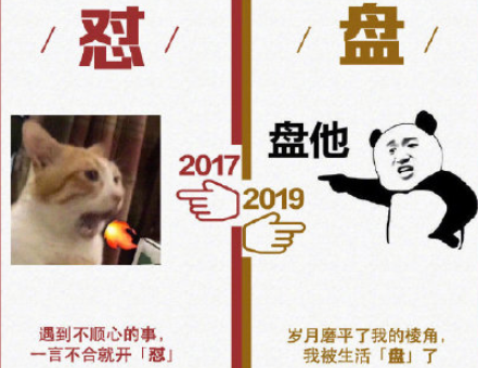 2017和2019网络流行语对比图文一览