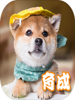 元气小狗中文硬盘版