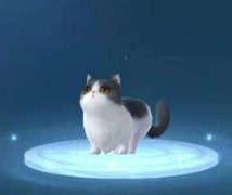 新笑傲江湖肖师兄的猫获得途径是什么