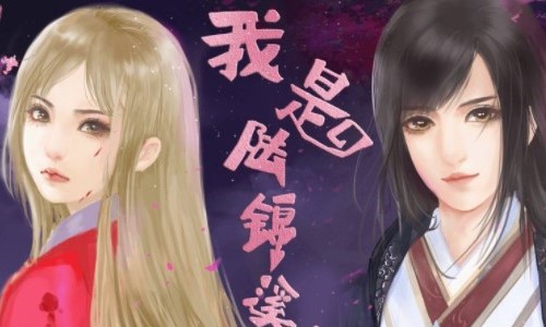 我是陆锦溪