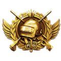 PUBG DEBRIEF助手app-绝地求生助手ios版助手v1.0