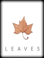Leaves最新版