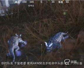 和平精英年兽宝宝位置坐标介绍