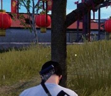 和平精英祈福树位置坐标一览
