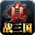 真战三国最新bt版