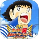 足球小将翼梦幻队伍国际版免费版
