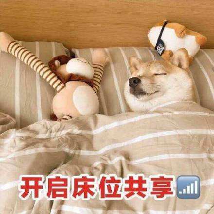 抖音对方已开启床位共享表情包大全_抖音对方已开启床位共享表情包分享