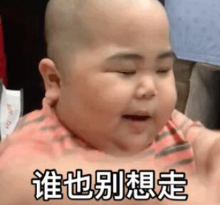 抖音网红小胖子动态表情包大全