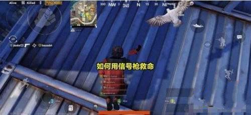 \