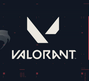 勇士Valorant苹果正式版