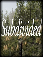 Subdivided最新版