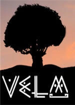 VeLM剧情版