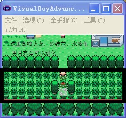 口袋妖怪：神兽领域GBA绿色版