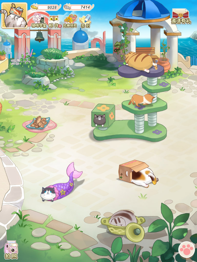 猫宅97最新版