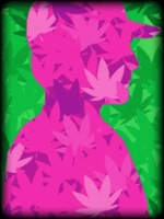 Weed County剧情版