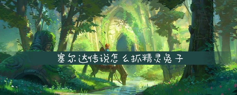 塞尔达传说抓精灵兔子方法一览