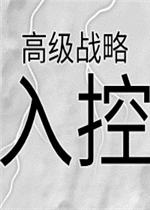 高级战略：入控中文版