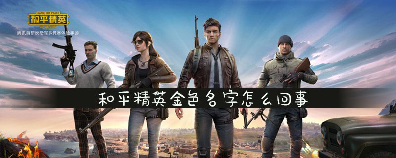 和平精英金色名字简介