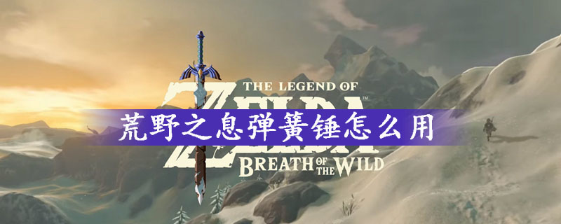 塞尔达传说荒野之息弹簧锤怎么用