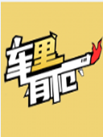 车里有枪中文版