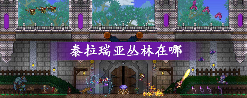泰拉瑞亚丛林具体位置
