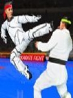 真正的空手道搏击拳2020 最新版