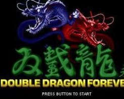 双截龙格斗无限连apk