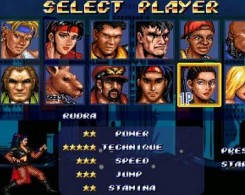 怒之铁拳2X新角色版apk