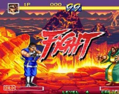 世界英雄完美版apk