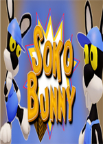 SokoBunny完整存档版