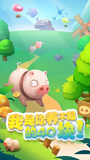 我的肉40块中文版