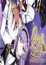 Perfect Gold中文版