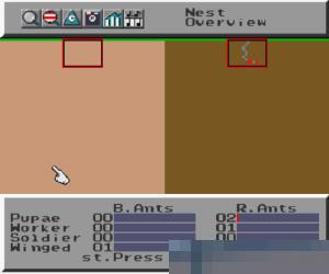 模拟蚂蚁 (Sim Ant) 美版 (37113)手机版