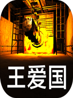 王爱国中文版
