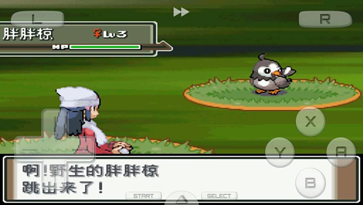 口袋妖怪白金正宗移植版