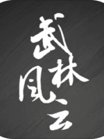 武林风云录中文典藏版