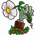 植物大战僵尸3修改器最新版