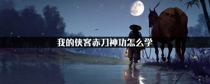 我的侠客赤刀神功怎么学?