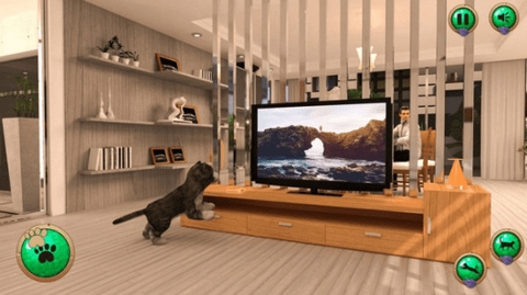 非常宠物猫模拟器正式版