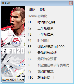 FIFA 20十项修改器 v1.0 peizhaochen版