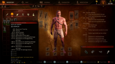 巫师3：狂猎自制四件套战士皮革外套MOD 绿色免费版