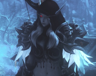 上古卷轴5天际重制版希尔瓦娜斯随从MOD下载 v1.61 最新版