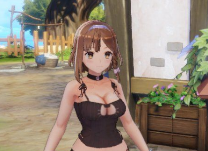 莱莎的炼金工房：常暗的女王与秘密的隐居处猫猫内衣MOD